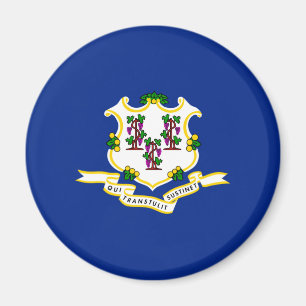 Ontwerp van de vlag van Connecticut Magneet