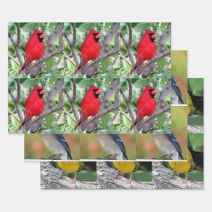 Ontwerp van de vogellover - 3 - Alle gelegenheden Inpakpapier Vel