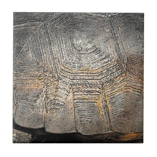Ontwerp van Gopher Tortoise Shell Tegeltje (Voorkant)