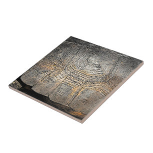 Ontwerp van Gopher Tortoise Shell Tegeltje