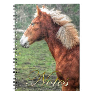 Ontwerp van het jongste palomino Colt Horse-lover Notitieboek