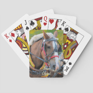 Ontwerp van paardenliefhebbers speelkaarten