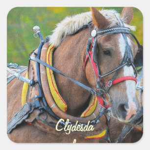 Ontwerp van paardenliefhebbers vierkante sticker
