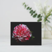 ontwerp van pepermint camellia briefkaart (Staand voorkant)