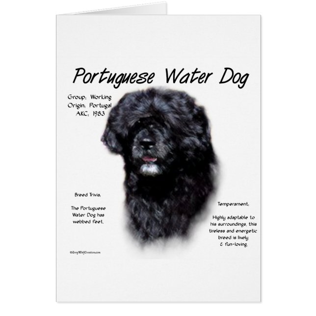 Ontwerp van Portugese waterhonden (Voorkant)