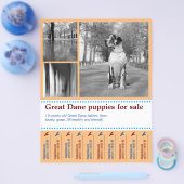 Ontwerp Verkopende Puppy Flyer (Enkel)