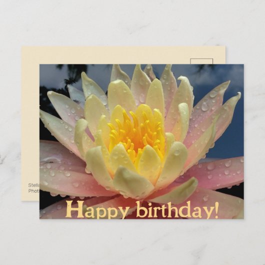 Ontwerp/Waterlelie, Nymphaeum/Gelukkige Verjaardag Feestdagenkaart (Voorkant / Achterkant)
