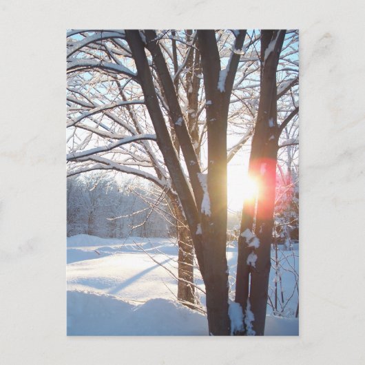  ontwerp WINTER SUNRISE Briefkaart (Voorkant)