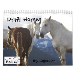 Ontwerpagenda voor paarden nr. 3 kalender