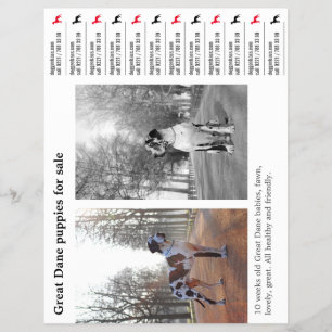 Ontwerper Tear off Great Dane Flyer