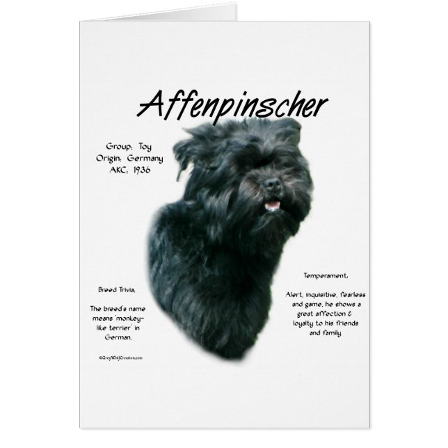 Ontwerpgeschiedenis affenpinscher (Voorkant)