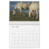 Ontwerpkalender voor paarden #2 kalender (Mar 2026)