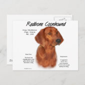 Ontwerpontwerp voor coonhoundhistorie briefkaart (Voorkant / Achterkant)