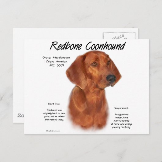 Ontwerpontwerp voor coonhoundhistorie briefkaart (Voorkant / Achterkant)