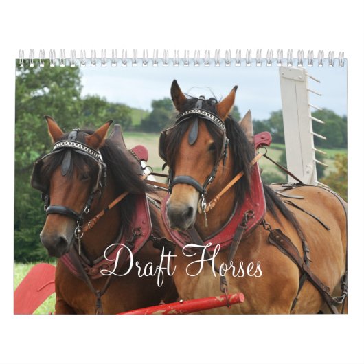 Ontwerppaarden 2016 kalender (Hoes)