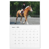 ONTWERPPAKKEN KALENDER (Mar 2026)