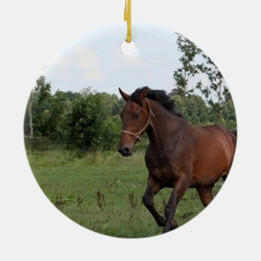 Ontwerpversiering voor buispaarden keramisch ornament (Achterkant)