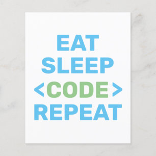 ONTWIKKELAAR  PROGRAMMEUR   CODERING  FLYER