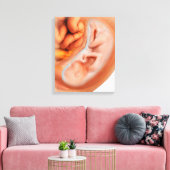 Ontwikkeling van de foetus na 36 weken canvas afdruk (Insitu (Woonkamer))