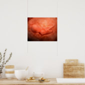 Ontwikkeling van de foetus op 24 weken poster (Keuken)