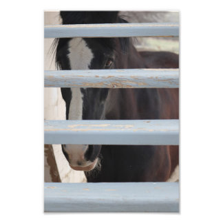 Onuitgesproken Band Foto Afdruk