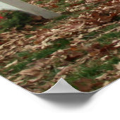 Onvergeten Poster (Hoek)