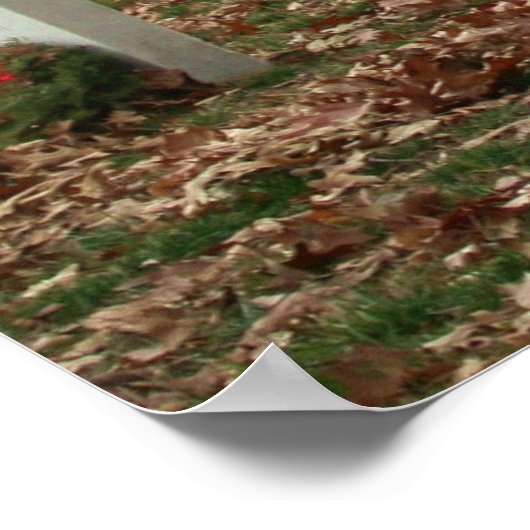 Onvergeten Poster (Hoek)