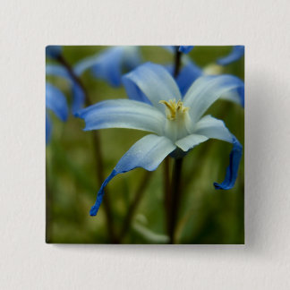 onverschrokken vierkante button 5,1 cm