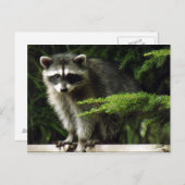 Onverwachte bezoeker, #3 briefkaart (Voorkant / Achterkant)