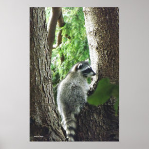 Onverwachte bezoeker, #7 poster