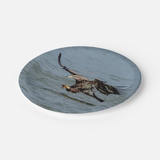 Onvolgroeide adelaar die duikt op vis papieren bordje (Gekanteld)