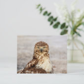 Onvolgroeide Rode Hawk op de grond Briefkaart (Staand voorkant)