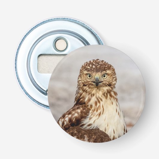Onvolgroeide Rode Hawk op de grond Button Flesopener (Voorkant)