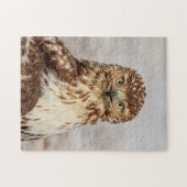 Onvolgroeide Rode Hawk op de grond Legpuzzel (Horizontaal)