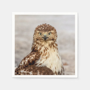 Onvolgroeide Rode Hawk op de grond Servetten