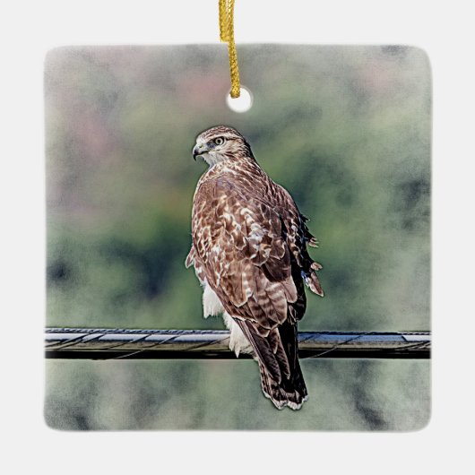 Onvolgroeide Rode Tailed Hawk Keramisch Ornament (Voorkant)