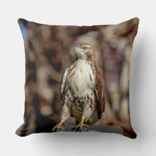 Onvolgroeide Rode Tailed Hawk Kussen