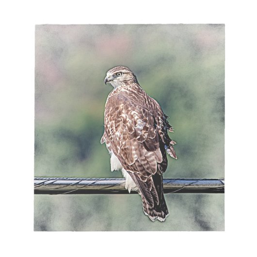 Onvolgroeide Rode Tailed Hawk Notitieblok (Voorkant)