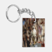 Onvolgroeide Rode Tailed Hawk Sleutelhanger (Voorkant Links)