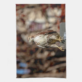 Onvolgroeide Rode Tailed Hawk Theedoek (Verticaal)