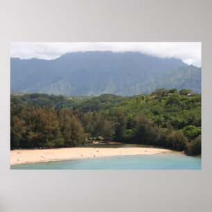 Onvolle strand, Kauai, Hawaii Poster