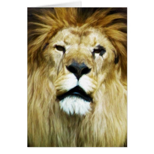 Onvolmaakte koning (Voorkant)