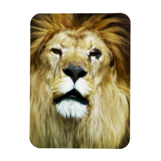 Onvolmaakte koning magneet (Verticaal)