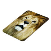 Onvolmaakte koning magneet (Linkerzijde)