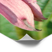 Onvolmaaktheid Poster (Hoek)