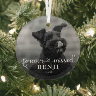 Onvoorwaardelijk Gemiste Foto Huisdier Hond Herden Glas Ornament