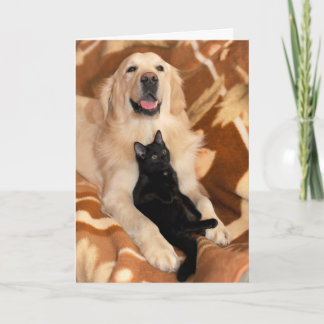 Onvoorwaardelijk vriendschap Friends Dog & Cat Kaart