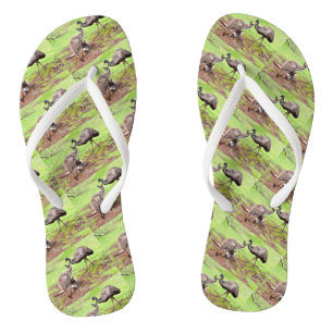 Onwaarschijnlijke vrienden: de kangoeroe en de emu teenslippers