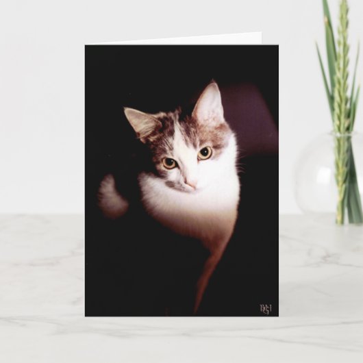 Onweerstaanbaar Kaart (Voorkant)