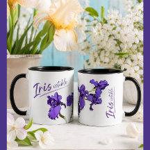 Onweerstaanbare Iris Mok